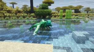 20-emerald_dragonfly.jpg