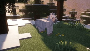 05-pegasus.jpg