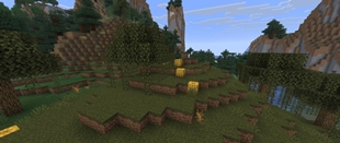 Squash in a Swamp Biome