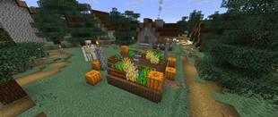 Brussels Sprouts Plants in a Village Planter