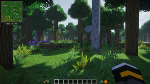 Forest Atmosphere