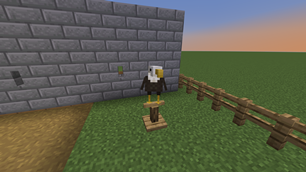 Your Eagle