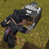 (1.0.0)
