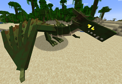 dragon