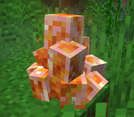 (1.0.0)