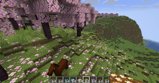 image-attachment_6c8ac095-ea14-4921-a175-deaa29312497.png