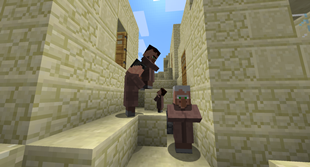 New village experience