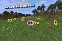 Add more color to your world!