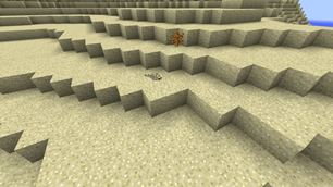 Sandworms