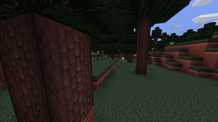 Trees