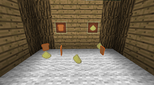 First objects
