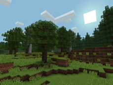 Misty World - Mixed Forest