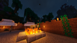 Camp