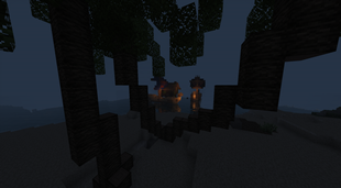 Docks