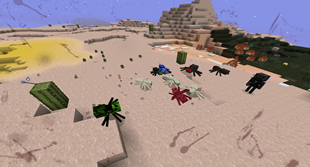 Clash of the Spiders