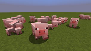 Pigs