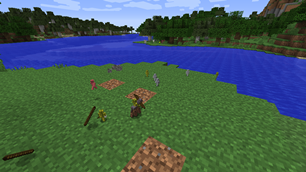 Battle for land