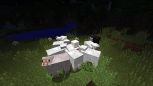 Sheep Luring