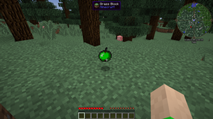 Images 1
