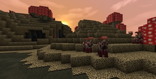 Mooshrooms on a mushroom island