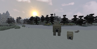 Polar bears