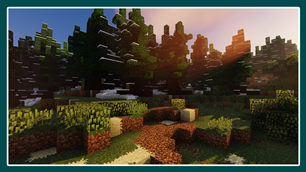LOVELY SPRUCE FOREST