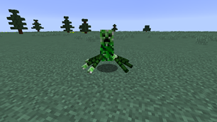 Spider Creeper