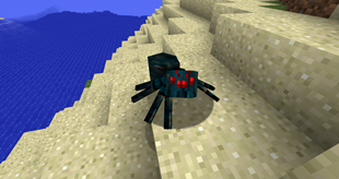 Hex-Spider