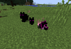 Ender Wolf