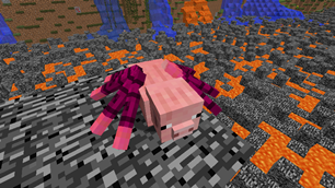 Spider Pig