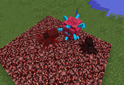 Nether has more creatures!