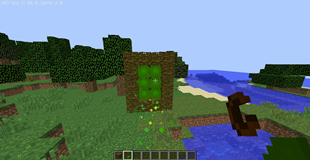 The portal to the Rainforest Dimension