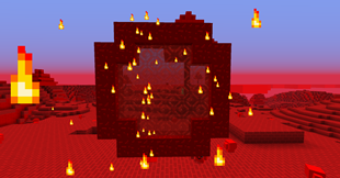 The Portal