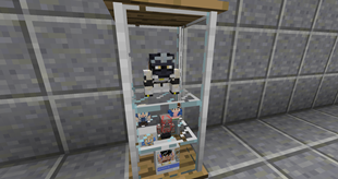 Updated Display Case