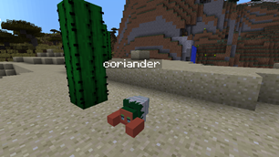 Coriander Hakkun