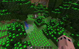 Height Map