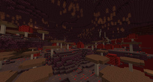 Mushroom Nether