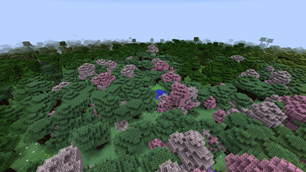 Cherry Blossom Grove