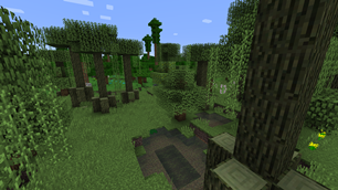 Willow Trees