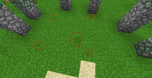 The Moon Circle