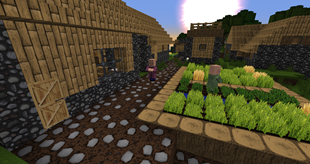 Random Village