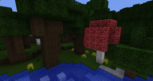 Roofed Forest