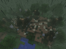 Forest during the acid rain