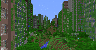 No shaders