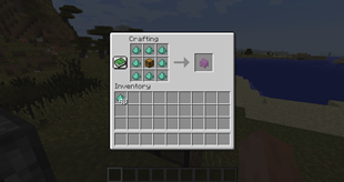 Shulker Shell
