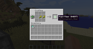 Plant Fiber