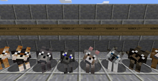 Dog Texture Overview 3