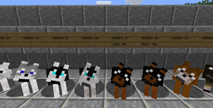Dog Texture Overview 5