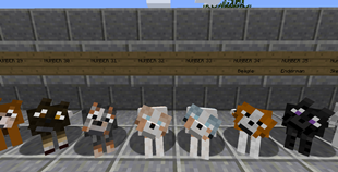 Dog Texture Overview 6