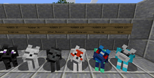 Dog Texture Overview 7